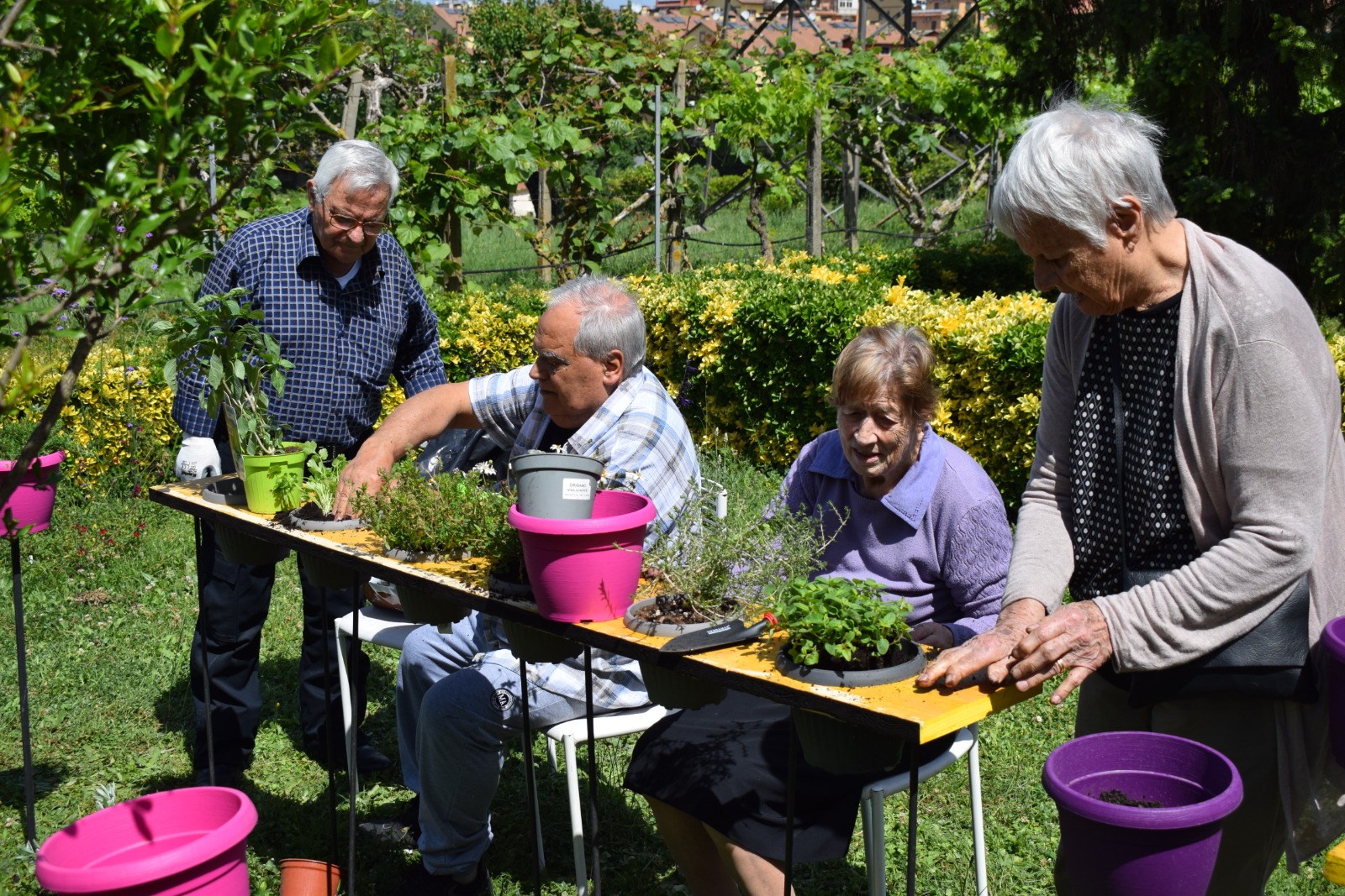 https://www.agenziaeventi.org/immagini_news/4339/alzheimer-a-roma-si-cura-con-orti-terapeutici-e-giardini-sensoriali-4339.jpg